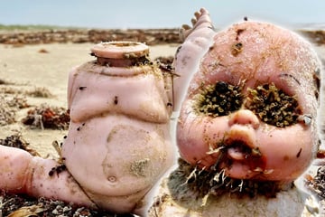 Creepy find: What washes up on this Texas beach is like a scene from a nightmare!