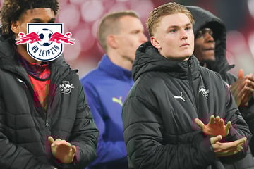 RB-Leipzig-Blog: Getrübte Weihnachts-Stimmung bei den Sachsen!