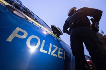 Rowdy flüchtete vor Polizei und kracht gegen Hausmauer: 80-Jähriger greift ein