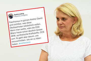 "Faschismus im grünen Antlitz": Brandenburger CDU distanziert sich von Ludwigs Tweet