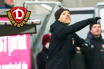 Dynamo coach Alexander Schmidt on Hannover 96: "They probably have their weaknesses too"