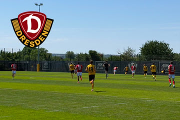 Dynamo-Dresden-Blog: Das Spiel läuft! SGD testet gegen Energie Cottbus