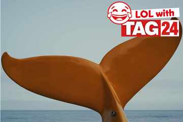 Joke of the Day for May 18, 2025: An animal joke to laugh this Sunday Funday