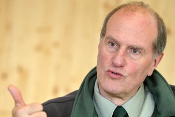 Brandgefahr! In Sachsen wird wieder der Wald überwacht