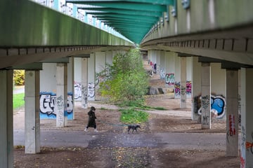 Leipzig: Angst vor Wiederholung des Carolabrücken-Einsturzes: Leipziger Brücke wird geprüft