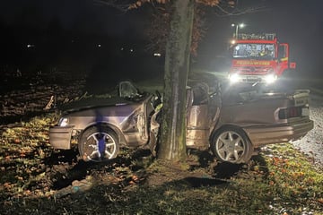 Auto kommt von Straße ab und kracht gegen Baum: Zwei Männer in Lebensgefahr