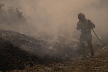 Nach heftigen Waldbränden: Zwei 81-Jährige wegen Brandstiftung festgenommen