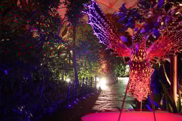 Magie im Dunkeln: Zoo Leipzig wird zur leuchtenden Erlebniswelt