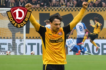 Echtes Leckerli! Dynamos Straudi zündet den Turbo und feiert seine Tor-Premiere