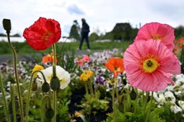 Ungemütlicher Wochenstart in NRW: Dann wird das Wetter wieder freundlicher