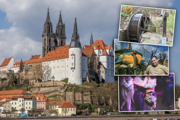 Dresden: So schön kann Pfingstmontag sein: Hier sind zehn Tipps für Dresden und Umgebung