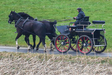 Tödliche Kutschfahrt in Brandenburg