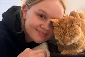 Hannah trauert um ihre geliebte Katze - doch ein Jahr später erhält sie ein letztes Zeichen