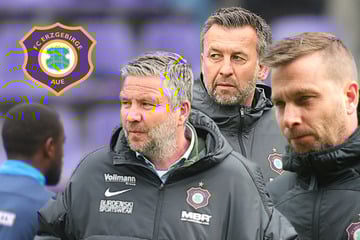 Nach Heimspiel-Blamage: Erzgebirge Aue trennt sich von Dabrowski und Fuchs, Tarnat wirft hin