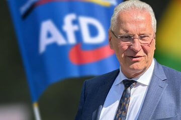 Zu Antifa, Reichsbürger und NPD: AfD kommt auf Liste der extremistischen Organisationen