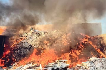 Berlin: Feuer bricht auf Gelände von Containerservice aus: Müll brennt lichterloh