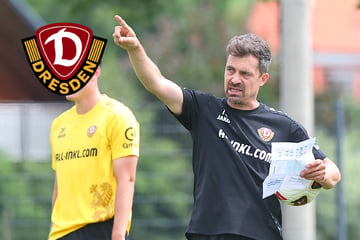 Neue Dynamo-Elf nimmt Formen an! Aber noch gibt es zwei echte Härtetests