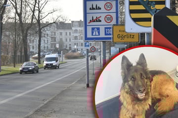Görlitzer Polizei entlarvt Dieb: Er klaute ein Auto mitsamt Hund