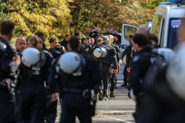 Polizei gibt Details preis: So lief die Festnahme des mutmaßlichen Stromnetz-Saboteurs ab