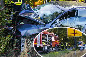 Tödlicher Unfall auf Landstraße: Skoda-Fahrer stirbt nach Kollision mit Baum