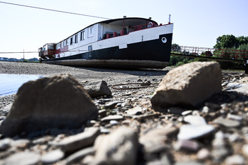 Sorge um Rheinpegelstand: Weiterhin große Probleme für Schifffahrt und Fische