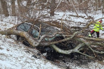 Unfall A: 39-Jähriger landet auf A10 im Graben: Sanitäter bemerken Alkoholgeruch