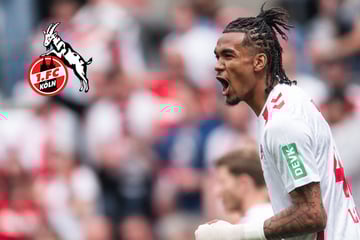 Damion Downs vor dem Abflug? England-Klub bietet Mega-Summe für FC-Köln-Stürmer