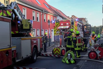 15-Jähriger erleidet bei Kellerbrand schwerste Verletzungen, Katze stirbt in den Flammen