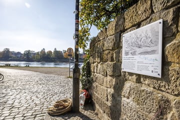 Dresden: Ehrung für die starken Männer: Loschwitzer Treidelpfad bekommt neue Schilder