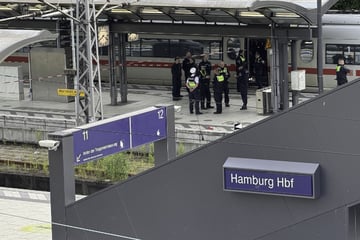 Messerattacke: Prozessauftakt nach Messerattacke am Hamburger Hauptbahnhof
