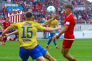 Torschütze Möbius kehrt wieder heim: FSV-Neuzugang freut sich auf die Partie in Eilenburg