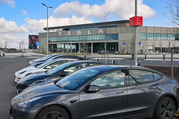 Tesla-Werk in Grünheide wächst: Unternehmen sucht 1000 neue Mitarbeiter