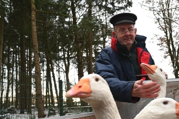 75.000 Menschen unterstützten ihn: Senior gibt Kampf um geliebte Tiere unter Tränen auf