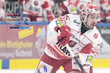 Erster Eislöwen-Neuzugang im Anmarsch: Dresden wildert wohl beim Erzrivalen