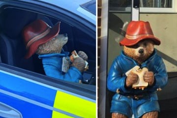 Statue von Paddington Bär im Suff geschändet