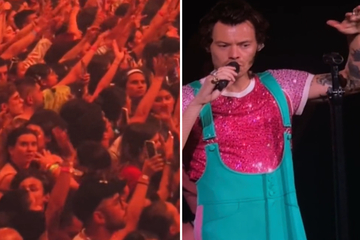 Harry Styles pauses concert for terrifying crowd incident: "We were suffocating"