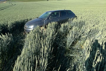 Unfall A9: Von der A9 ins Getreidefeld: Skoda-Fahrer hat Glück im Unglück