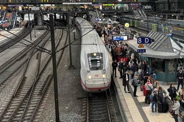 Kabelschaden am Hamburger Hauptbahnhof: Massive Ausfälle im Fernverkehr