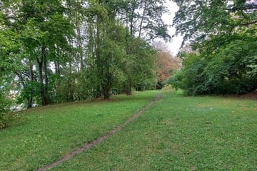 Dresden: Trampelpfad in diesem Dresdner Park wird jetzt "befördert"