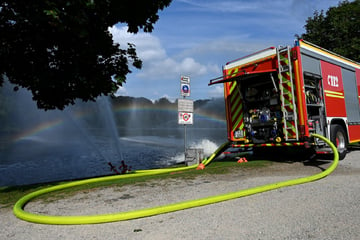 München: Münchner Feuerwehr kämpft das ganze Wochenende gegen das Fischsterben im Westpark