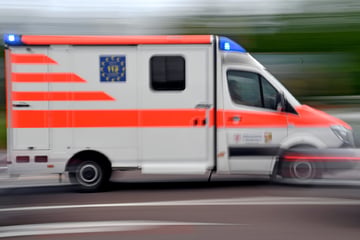 Grausamer Unfall: Zwei junge Frauen und zwei Kleinkinder sterben bei Lkw-Kollision
