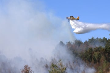 Waldbrand im Harz: Feuerwehr weiterhin mit Löscharbeiten beschäftigt