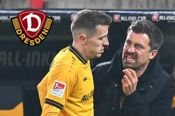 Dynamo-Coach Stamm nimmt rabenschwarze Hälfte auf seine Kappe: "Schlechte Entscheidung von mir"