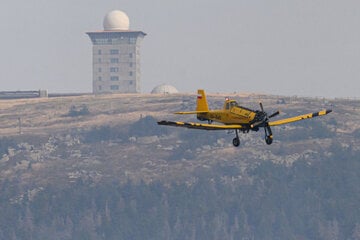 Landkreis Harz zieht Bilanz nach heftiger Waldbrand-Saison