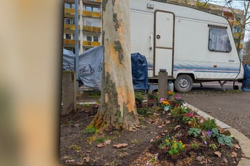 Leipzig: Dieses Foto zeigt ein Vergehen, das 5000 Euro kosten kann