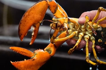 Mann gibt sich als Spediteur aus und lässt Fracht im Wert von über 300.000 Euro verschwinden