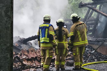 Feuerwehreinsatz in Alsdorf bei Aachen: Futterhütte in Tierpark brennt lichterloh