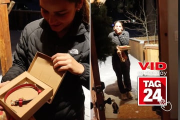 Viral Video of the Day for December 15, 2024: Man surprises girlfriend with pawsome Christmas present