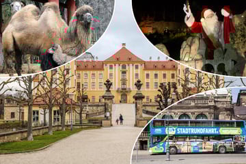 Dresden: Noch nichts vor am zweiten Advent? Hier sind acht Tipps für den perfekten Sonntag