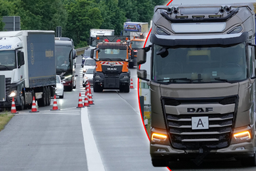 Unfall A13: Fußgänger stirbt auf A13: Lkw-Fahrerin (19) unter Schock